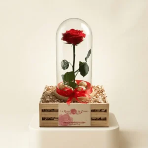 Rosa preservada de larga duración en Bogotá