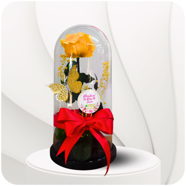 Rosa Preservada + Ferreros x5