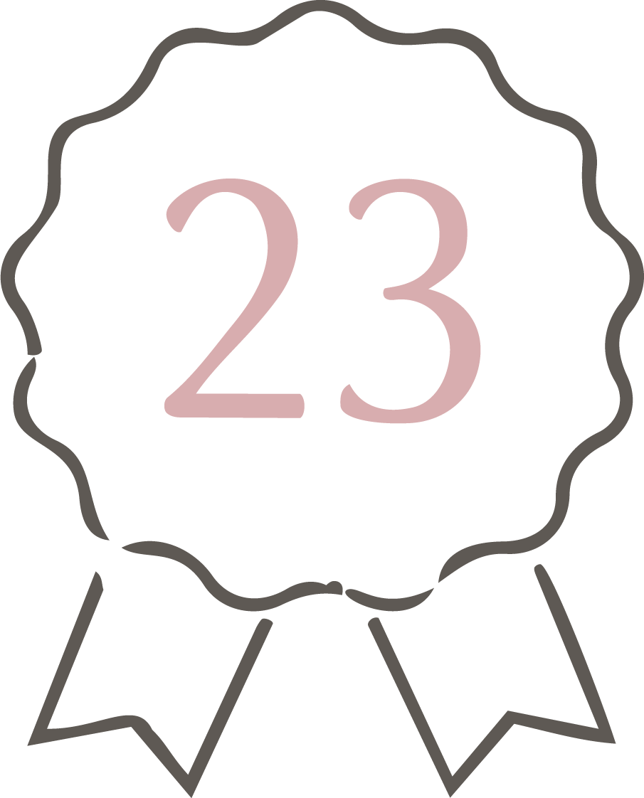 icono 23 Elementor #32667